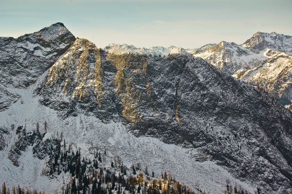 Snow Covered Glory